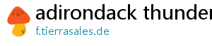 adirondack thunder