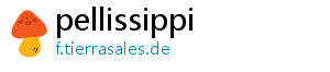 pellissippi